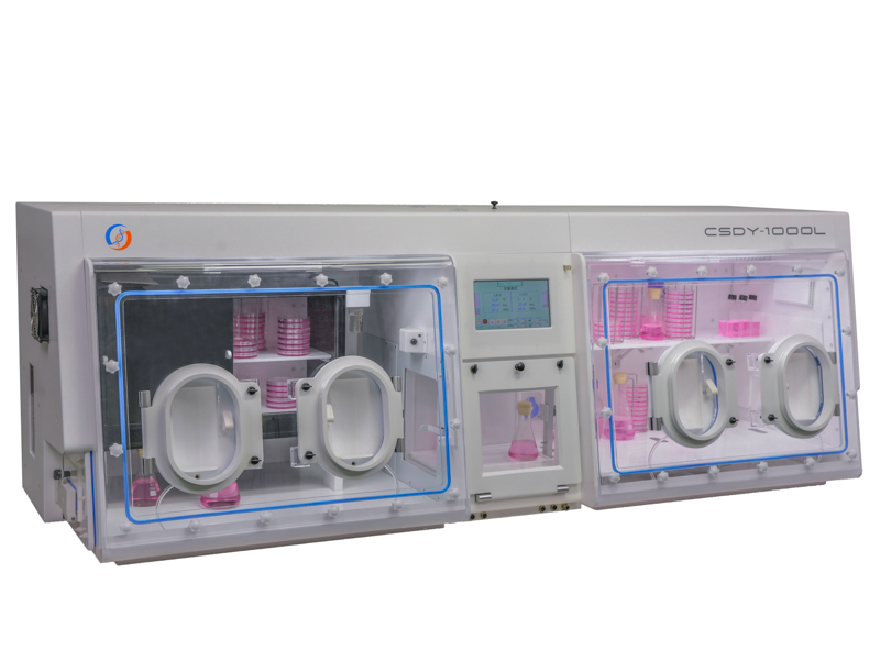 _DSC2792-编辑 拷贝.jpg