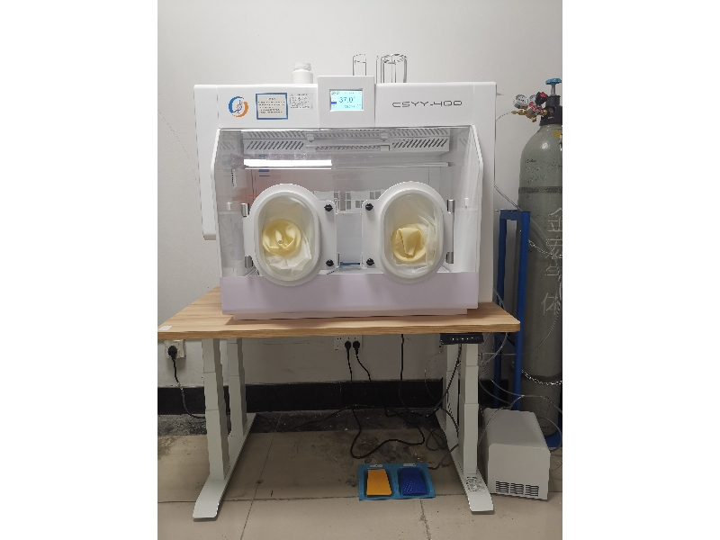 苏州大学：CSYY-400厌氧工作站